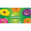 TWINSAVER FACIAL TISSUE RAINBOW