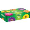 TWINSAVER FACIAL TISSUE RAINBOW
