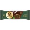 MAGNUM MINT 100ML