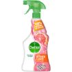 DETTOL KITCHEN CLEAN G FRUIT TRIG 500ML