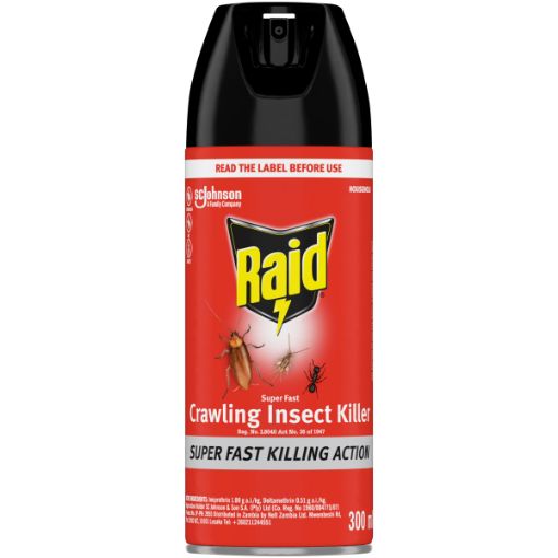 RAID SUPER FAST CIK INSECTID 300ML