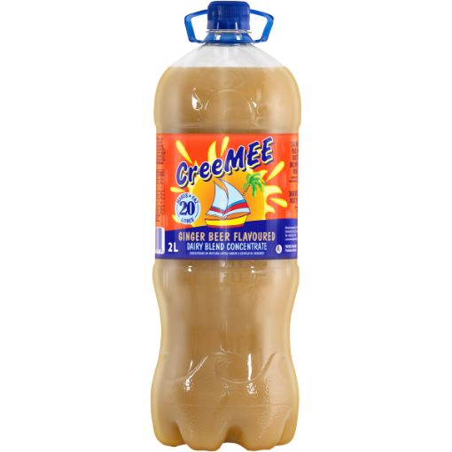 VITA JUICE DAIRY JUICE GINGERBEER