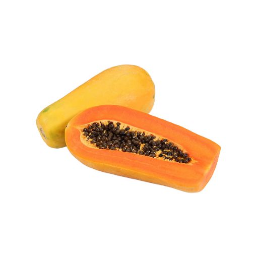 MODEL PAPAYA